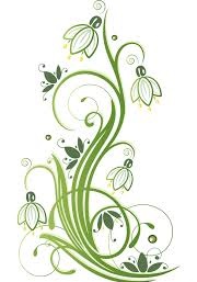 snowdrops